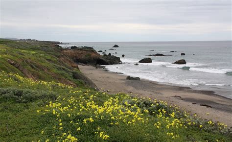 Best Beaches that Tourists Miss in Big Sur - California Beaches