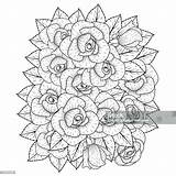 Rose Flower Coloring Page Dot Line Art Dengan Ilustrasi Buku Mewarnai  sketch template