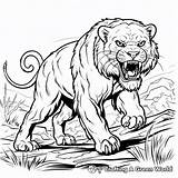 Sabertooth Tiger Coloring Pages  Free & Printable sketch template