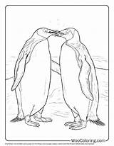 100  Penguin coloring Pages Free PDF To Print Woo Coloring sketch template