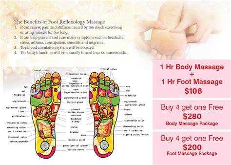 Happy Feet Spa | 626 Park Avenue, Suite 2, Rochester, NY 14607 | 585-730-8612 / 585-730-8609