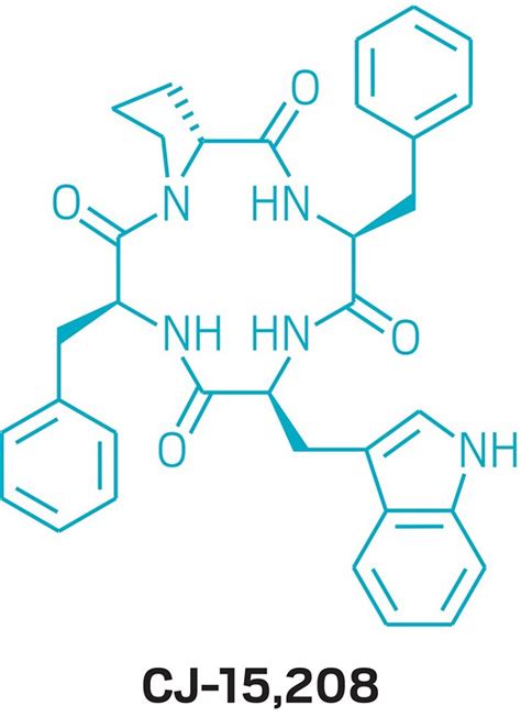 Cyclic peptide could provide pain relief without causing euphoria