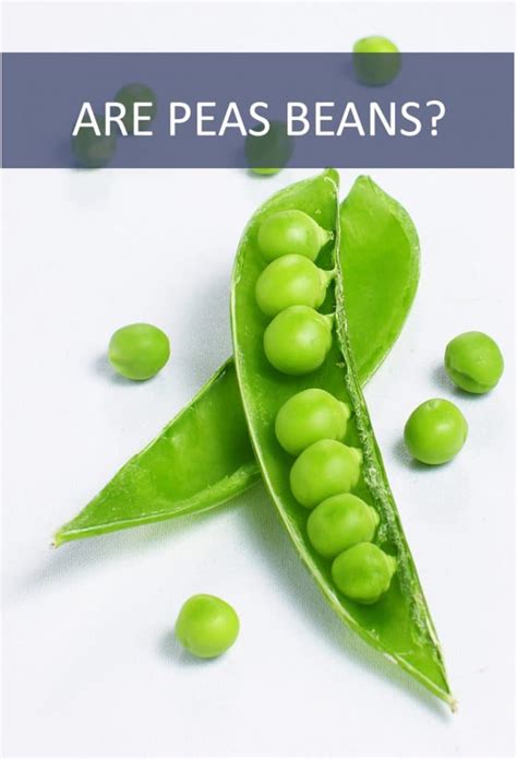 Are Peas Beans? - The Cookful