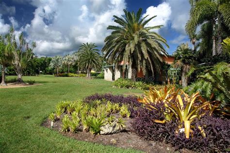 Fairchild Tropical Botanic Garden Stock Image - Image of beautiful, garden: 7354983