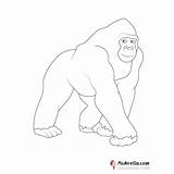 Gorilla Coloring Page sketch template