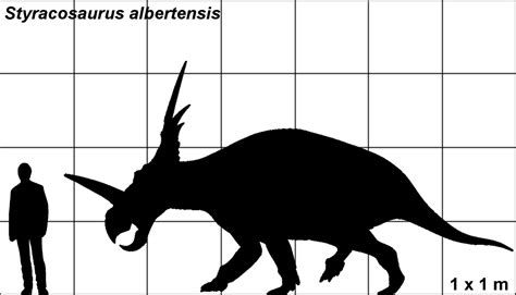 Styracosaurus - Dinosaurussen