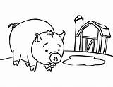Free Printable Pig Coloring Pages For Kids sketch template