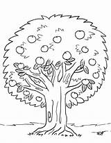 Tree Coloring Page For Kids sketch template