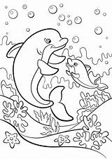 Dolphin Coloring Pages  Free Printable For Kids sketch template