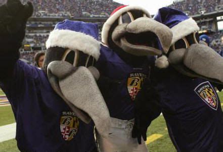 Baltimore Ravens Mascots - Edgar Allan & Poe | Mascot, Bird city ...