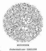Flores Forestales Bayas Silvestres Y Frutas Vector De Stock Libre  sketch template