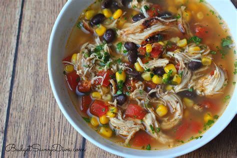 The BEST Chicken Soup Ever Recipe - Budget Savvy Diva