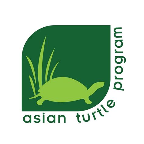 Asian Turtle Program | Hanoi
