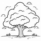 Premium Vector  Tree coloring Page sketch template