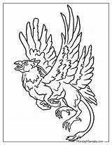 20 Griffin Coloring Pages Free PDF Printables sketch template