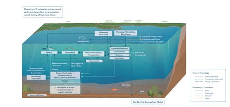 Water Column Model - Restore the Mississippi River Delta