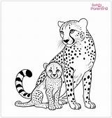 25 Cheetah Coloring Pages – Free Printable Sheets And Images For Kids  sketch template