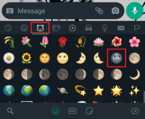 What is Black Moon Emoji Meaning? – TechCult