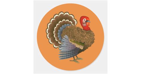 Thanksgiving Turkey sticker | Zazzle