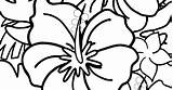 Hawaiian Flower Coloring Pages sketch template