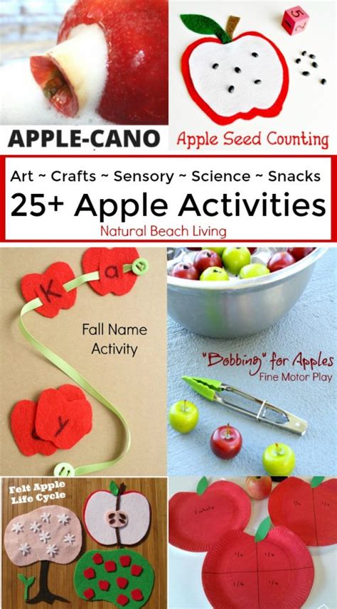 25+ Awesome Apple Activities for Kids - Natural Beach Living