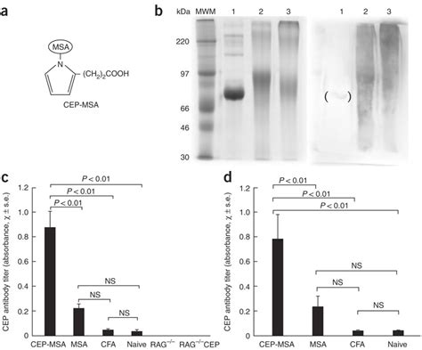 CEP antigen and CEP-specific antibody titers in immunized mice.(a ...