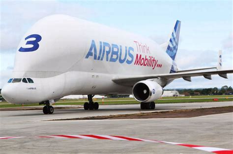 The Beluga Airbus cargo aircraft - Mirror Online