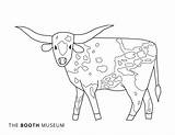 Mammals Cattle Longhorn Coloring Pages  Free sketch template