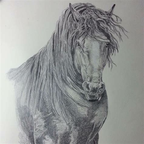 Black stallion | Black stallion, Graphite art, Lion sculpture