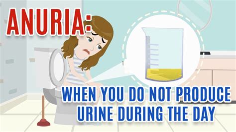 ABSENCE OR VERY SCARCE URINE: Causes, Diagnosis and Treatment of Anuria ...