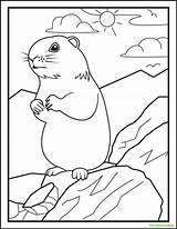 8 Groundhog Day Coloring Pages  Tree Valley Academy sketch template
