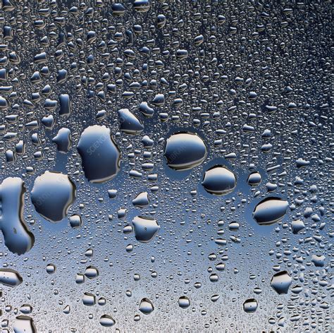 Water condensation - Stock Image - A310/0114 - Science Photo Library