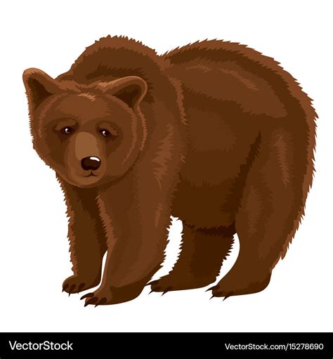 Brown bear Royalty Free Vector Image - VectorStock