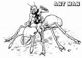 Ant man Coloring Pages Printable For Free Download sketch template