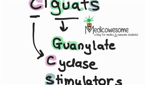 Medicowesome: Soluble Guanylate Cyclase Stimulators notes and mnemonic