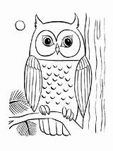 Owl Printable Coloring Pages  Templates sketch template