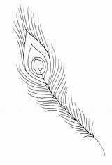 Bird Feather Coloring Pages At GetColoringscom  Free Printable sketch template