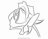 Fresh Red Rose Coloring Page For Kids  Free Printable sketch template