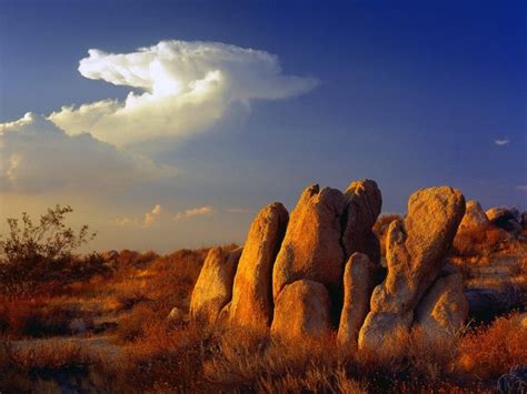 78 best The Beautiful Mojave Desert images on Pinterest