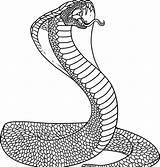 Coloring Pages Snakes Printable sketch template