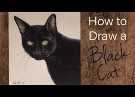 Best How To Draw Realistic Cat Colored Pencils Ideas | Cat drawing, Cat ...