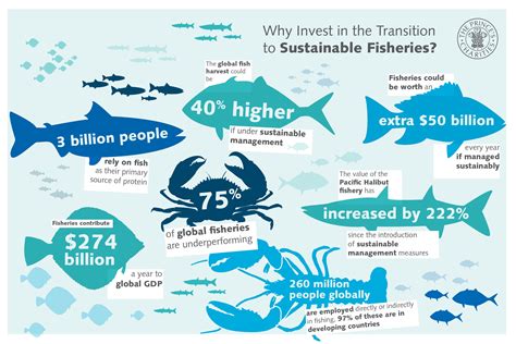 Investing in the transition to thriving EU waters: A visionary new ...