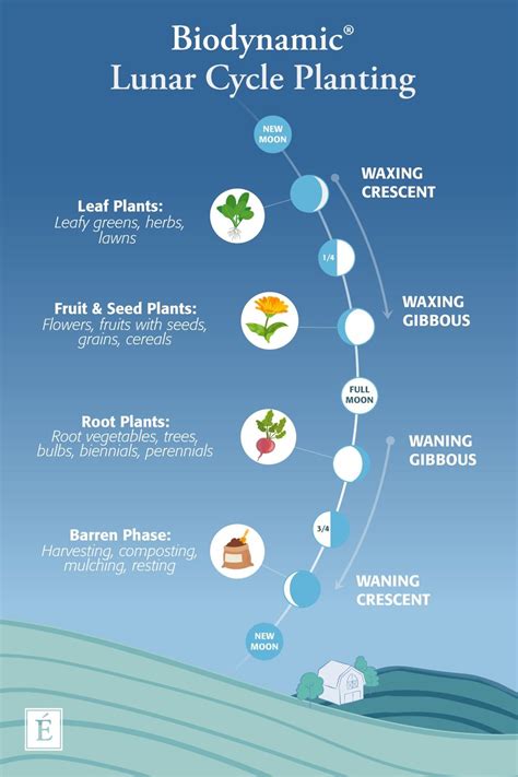 Biodynamic Lunar Cycle Planting