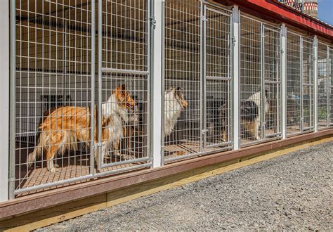 Are Boarding Kennels Good For Dogs