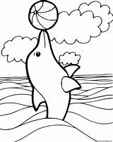 Dolphin Colorir Desenhos Golfinho Coloriage Delfin Delphin Delfino  sketch template