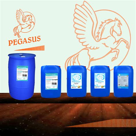 Gallery – Pegasus