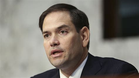 Marco Rubio - Breaking News, Photos and Videos | The Hill