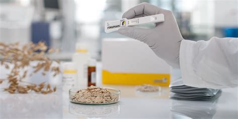 Mycotoxin testing for T-2 / HT-2 toxin – the choice is yours - Food ...