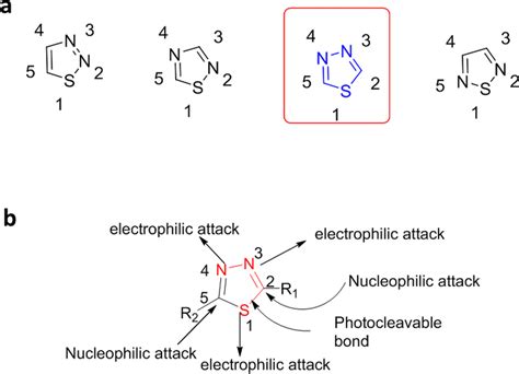 a Isomers of thiadiazole based on the position of heteroatoms. b ...