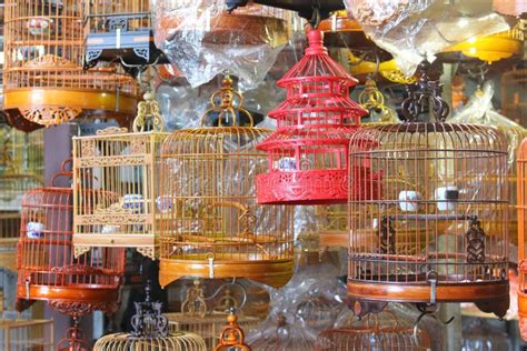 Chinese Bird Cage stock photo. Image of cage, brown, china - 33621442